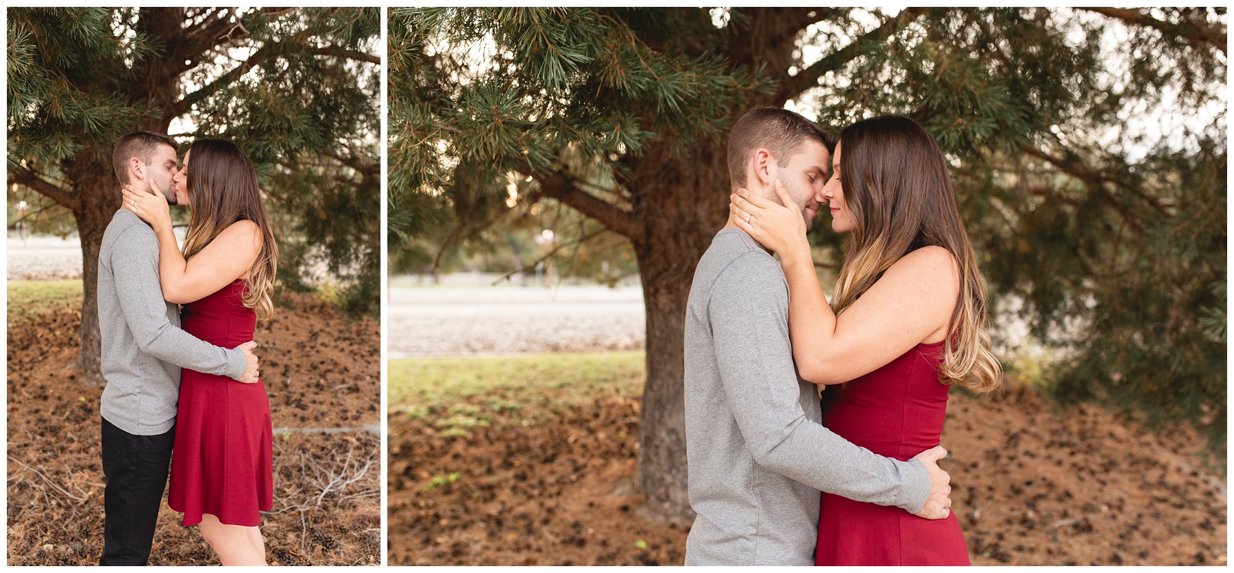 Natural light couples session in front of pine tree at sunset