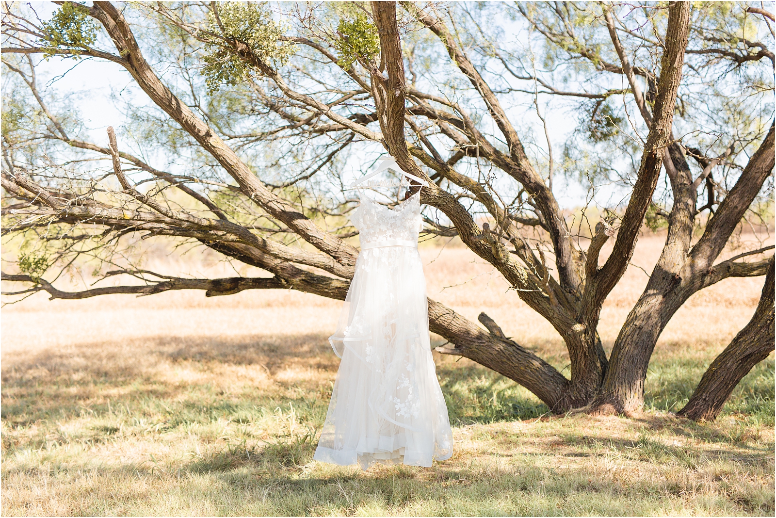 tulle wedding dress with flower motifs hanging on a personalized bridal hanger in a tree in Texas