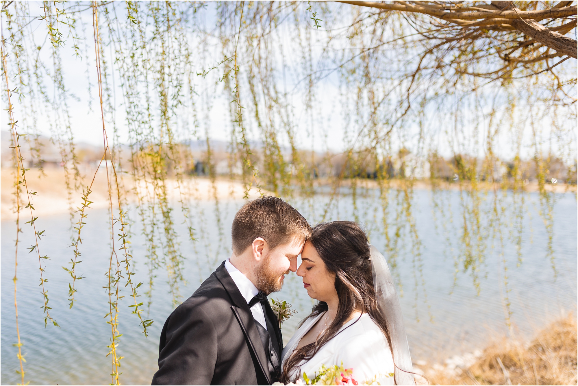 bride and groom by lake under a weeping willow