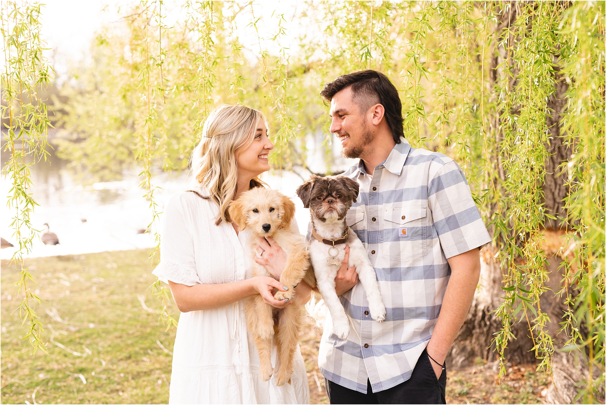 Engaged couple with their dogs