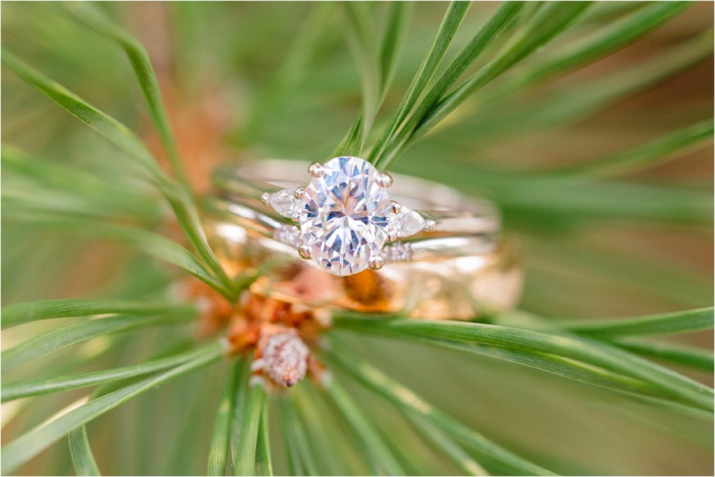 wedding rings on pine tree