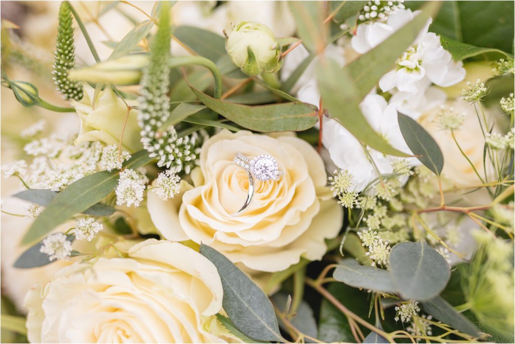 wedding rings on ivory rose