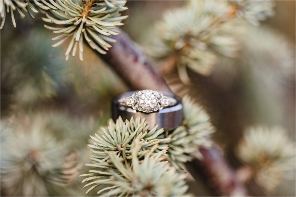 wedding rings in pine trees