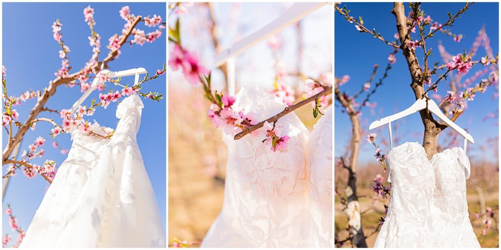 ivory lace dress from bb bridal hanging in pink flowering trees