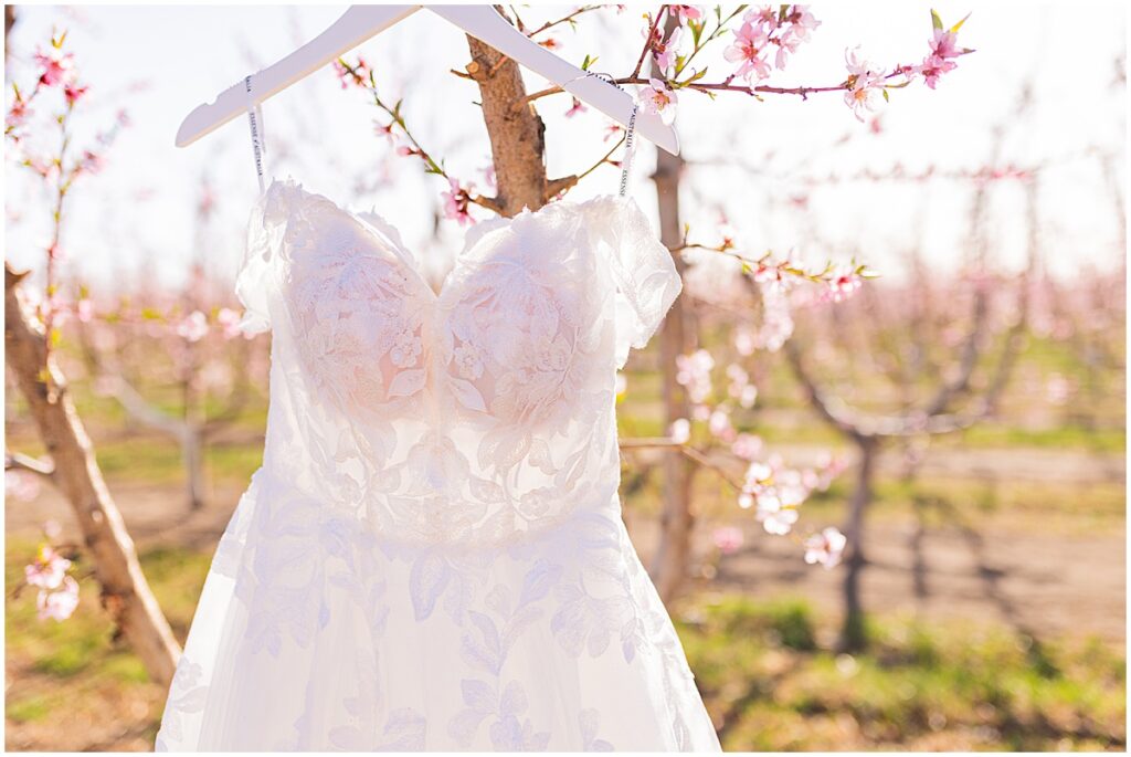 Cherry Blossom Bridal Photos