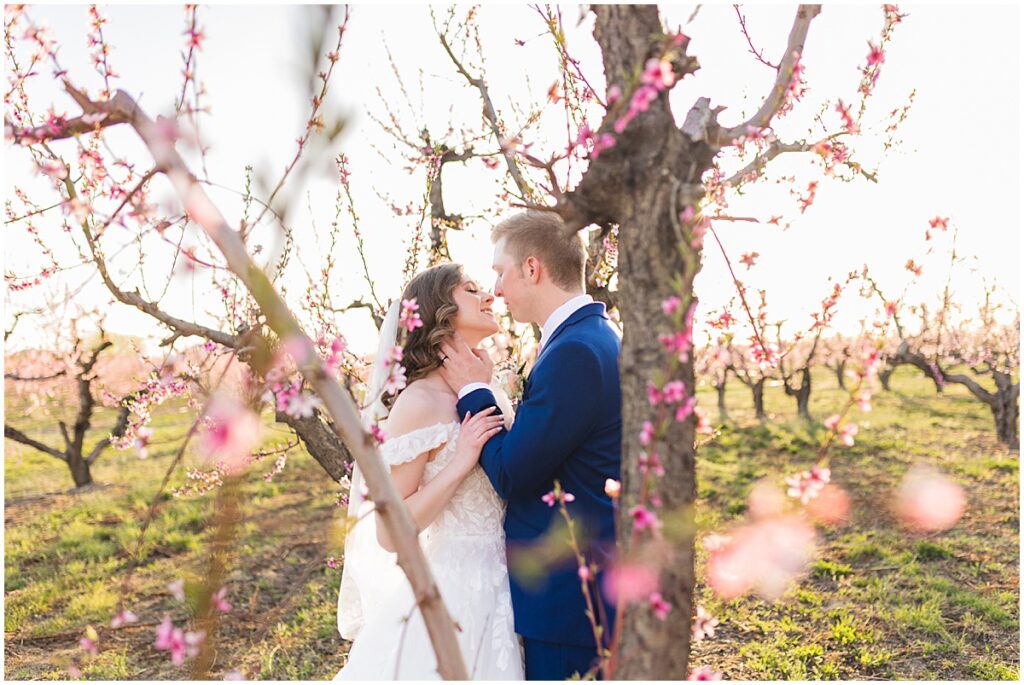 Cherry Blossom Bridal Photos by Miranda Renee Photography