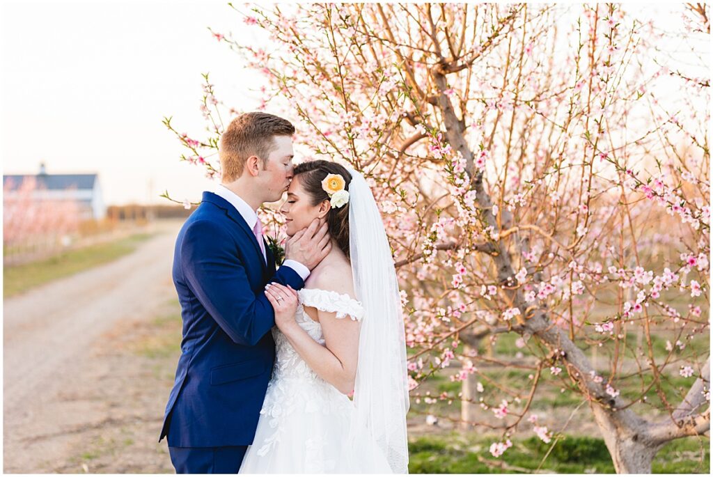 groom kissing bride's forehead under the pink flowering trees