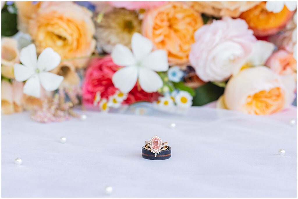 Wedding at Bissel Creek Meadows